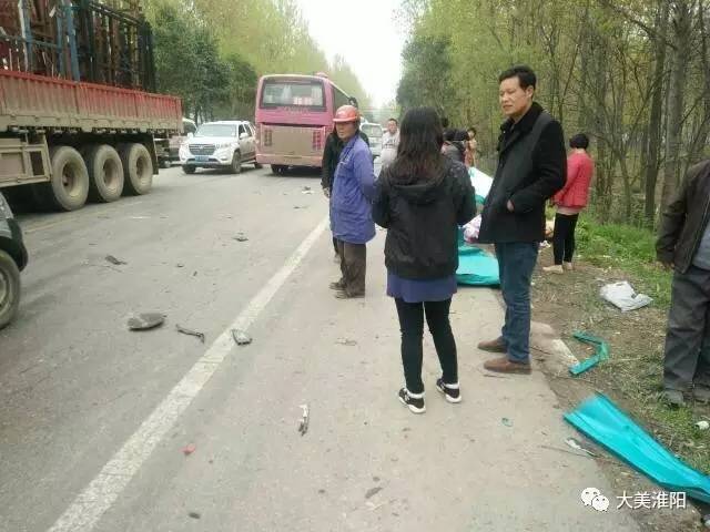 河南淮阳车祸动态报道