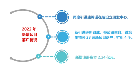 开启新篇章：申请期限优化指南助力梦想起航