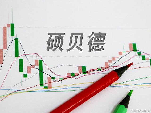 2025年3月22日硕贝德公司最新动态解析